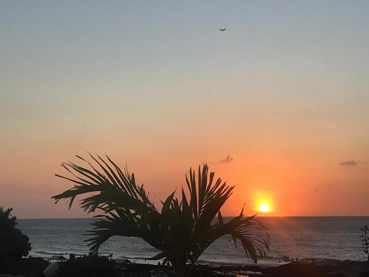 Hotel Palmera Beach Cartagena エクステリア 写真